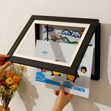 Art Display Frames